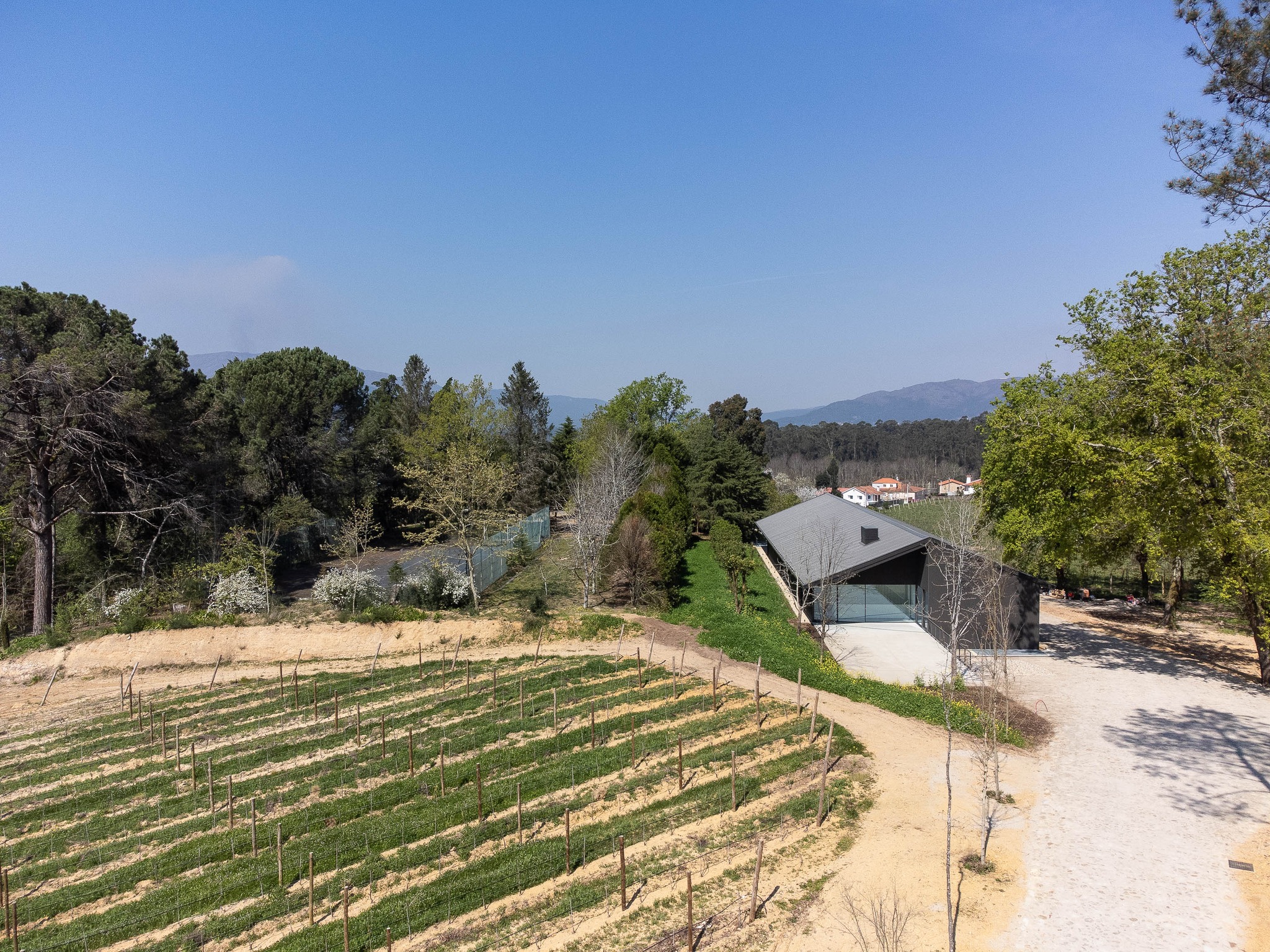 Adega Casa de Nabais — Ponte de Lima.