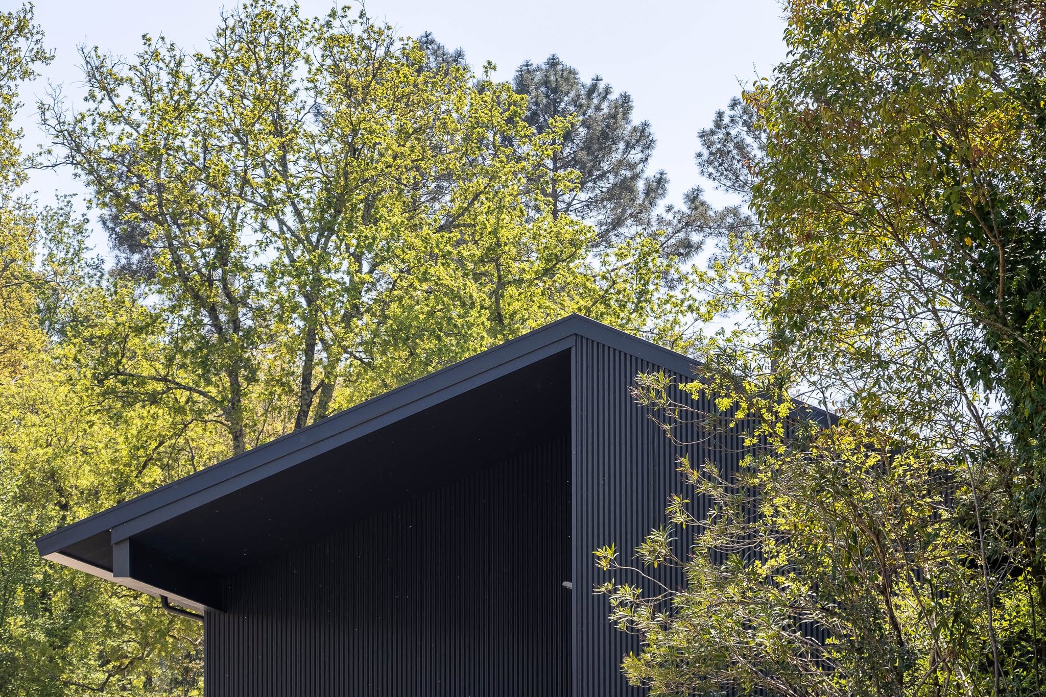 Adega Casa de Nabais - Ponte de Lima — foto 45 de 53